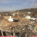 12_45-nest.jpg