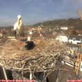 12_55-nest.jpg