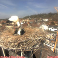13_10-nest.jpg