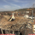 13_20-nest.jpg