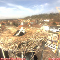 13_25-nest.jpg