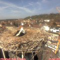 13_30-nest.jpg