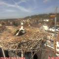 13_35-nest.jpg