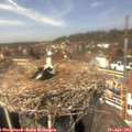 13_40-nest.jpg