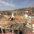 13_45-nest.jpg