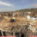 13_50-nest.jpg
