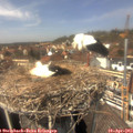 13_55-nest.jpg