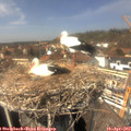 14_00-nest.jpg