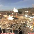 14_05-nest.jpg
