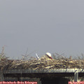 14_10-mast.jpg