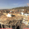 14_20-nest.jpg