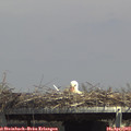 14_25-mast.jpg