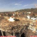 14_25-nest.jpg