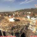 14_35-nest.jpg