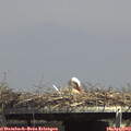 14_40-mast.jpg