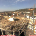 14_40-nest.jpg
