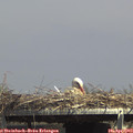 14_45-mast.jpg