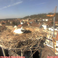 14_45-nest.jpg