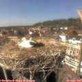 14_55-nest.jpg