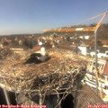 15_00-nest.jpg