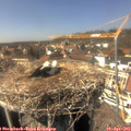 15_05-nest.jpg