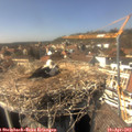 15_10-nest.jpg
