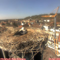 15_15-nest.jpg