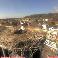 15_20-nest.jpg