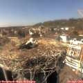 15_25-nest.jpg