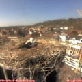 15_30-nest.jpg