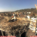 15_40-nest.jpg