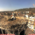 15_45-nest.jpg