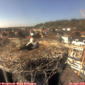15_50-nest.jpg