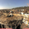 15_55-nest.jpg