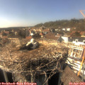 16_05-nest.jpg