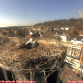 16_10-nest.jpg