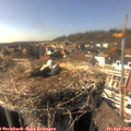 16_15-nest.jpg