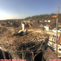 16_20-nest.jpg