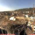 16_40-nest.jpg