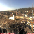 16_55-nest.jpg