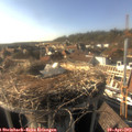 17_10-nest.jpg