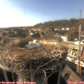 17_20-nest.jpg