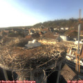 17_35-nest.jpg