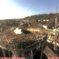 17_45-nest.jpg
