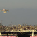 18_05-mast.jpg