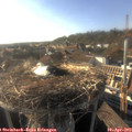18_05-nest.jpg