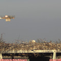 18_20-mast.jpg