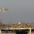 18_35-mast.jpg