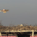 18_40-mast.jpg