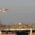 18_45-mast.jpg